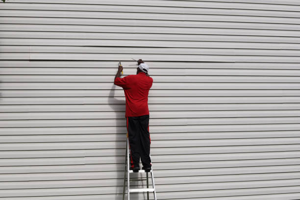 Best Storm Damage Siding Repair  in Canby, MN